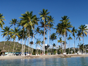 Karaiby